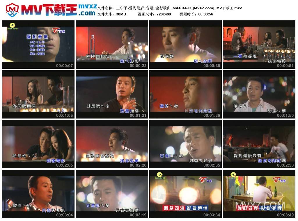 王中平-爱到最后_台语_流行歌曲_MA404490